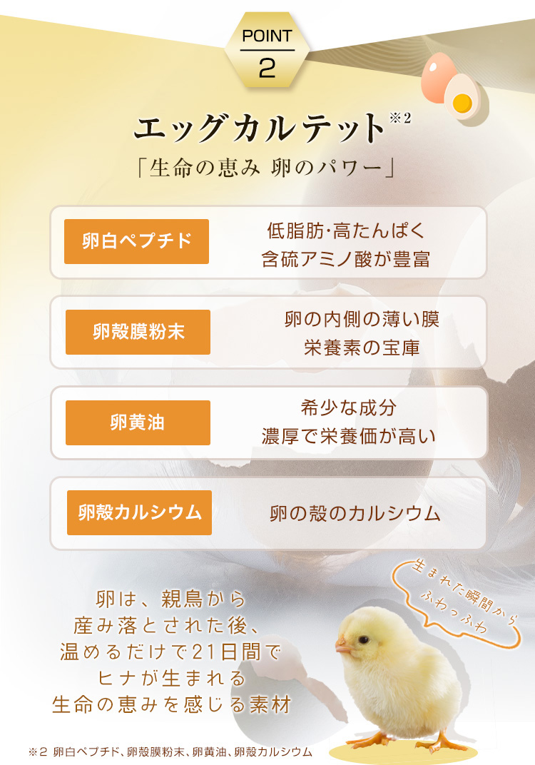 オーディ ヘアゲイン