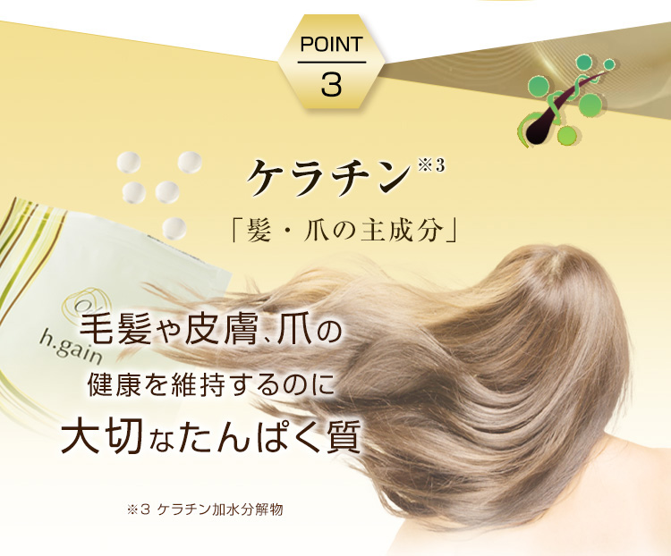 オーディ ヘアゲイン