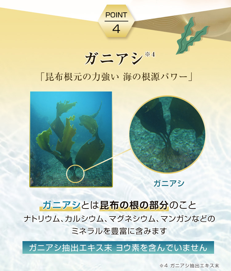 オーディ ヘアゲイン