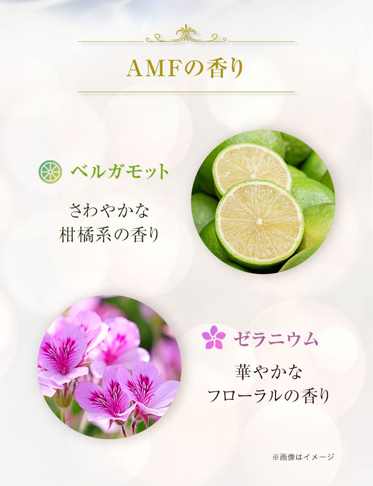 AMFの香り