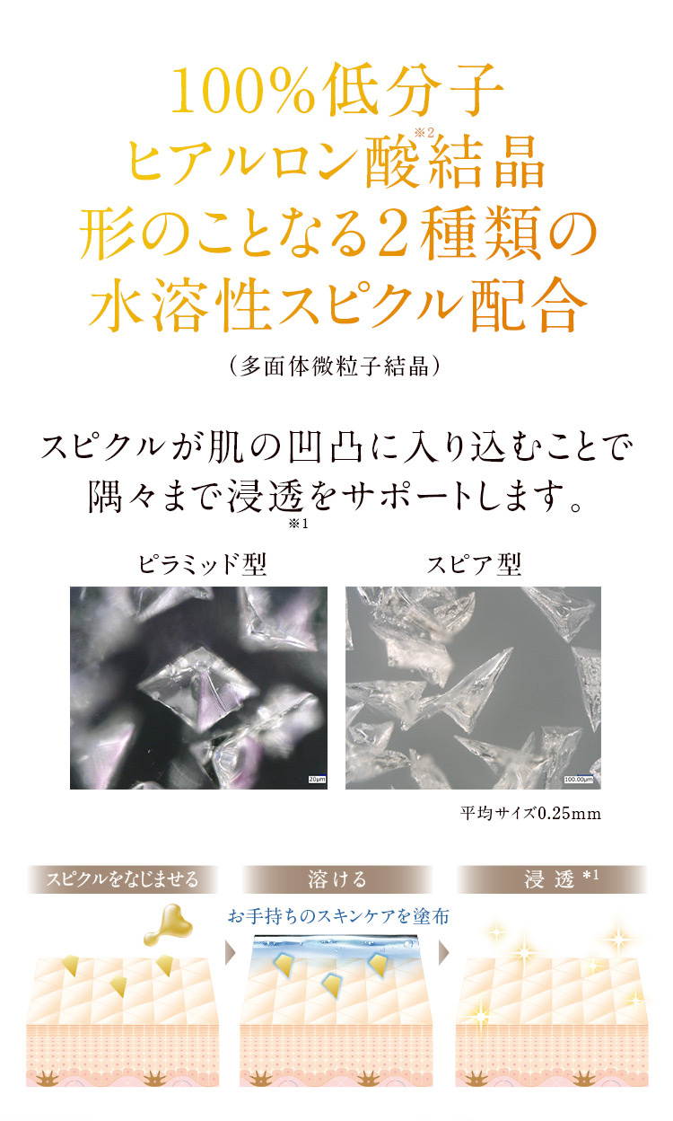 低分子ヒアルロン酸100％で出来た形のことなる2種類の水溶性スピクル配合