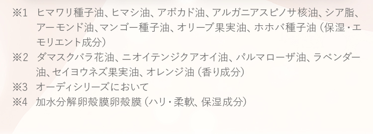 注釈