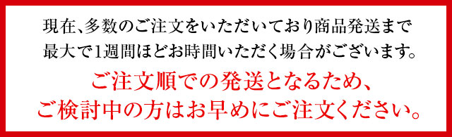 現在、多数のご注文をいただいており商品発送まで最大で2週間ほどお時間いただく場合がございます。ご注文順での発送となるため、ご検討中の方はお早めにご注文ください。