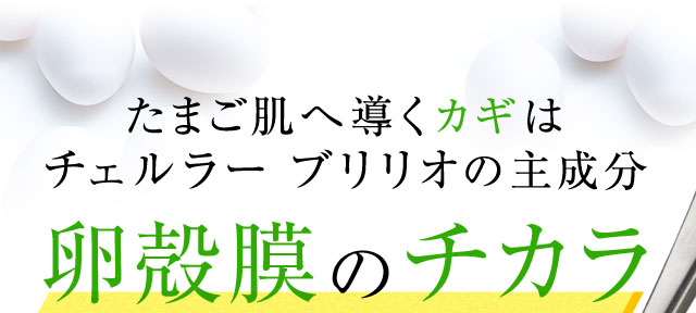 たまご肌へ導くカギはチェルラーブリリオの主成分卵殻膜のチカラ